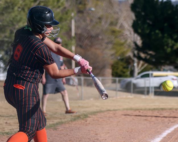 Wells High School softball player