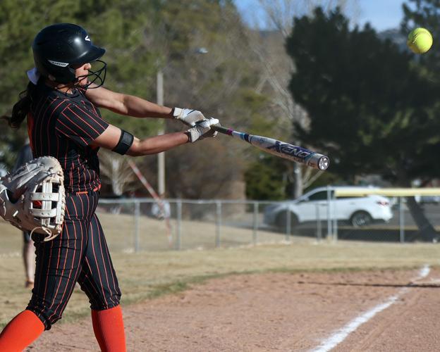 Wells High School softball player
