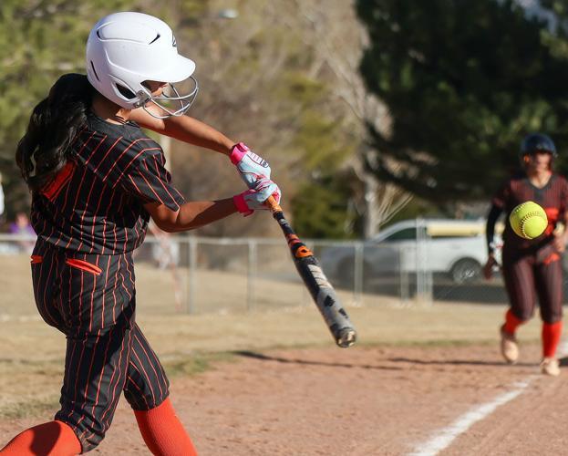 Wells High School softball player