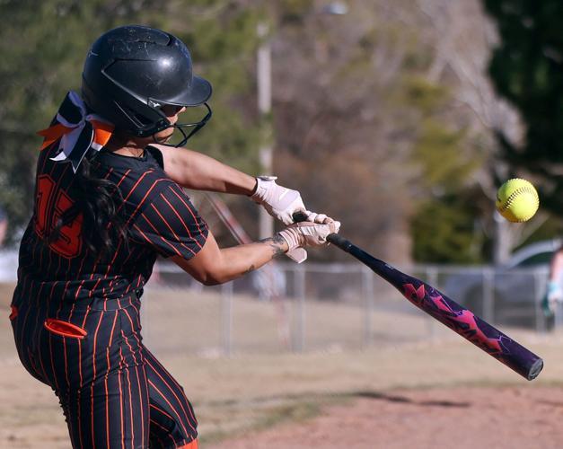 Wells High School softball player