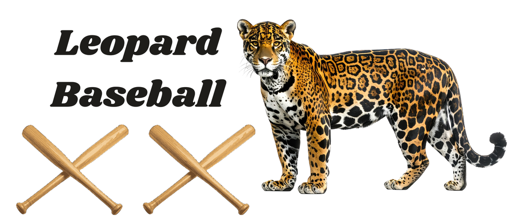 baseball with leopard