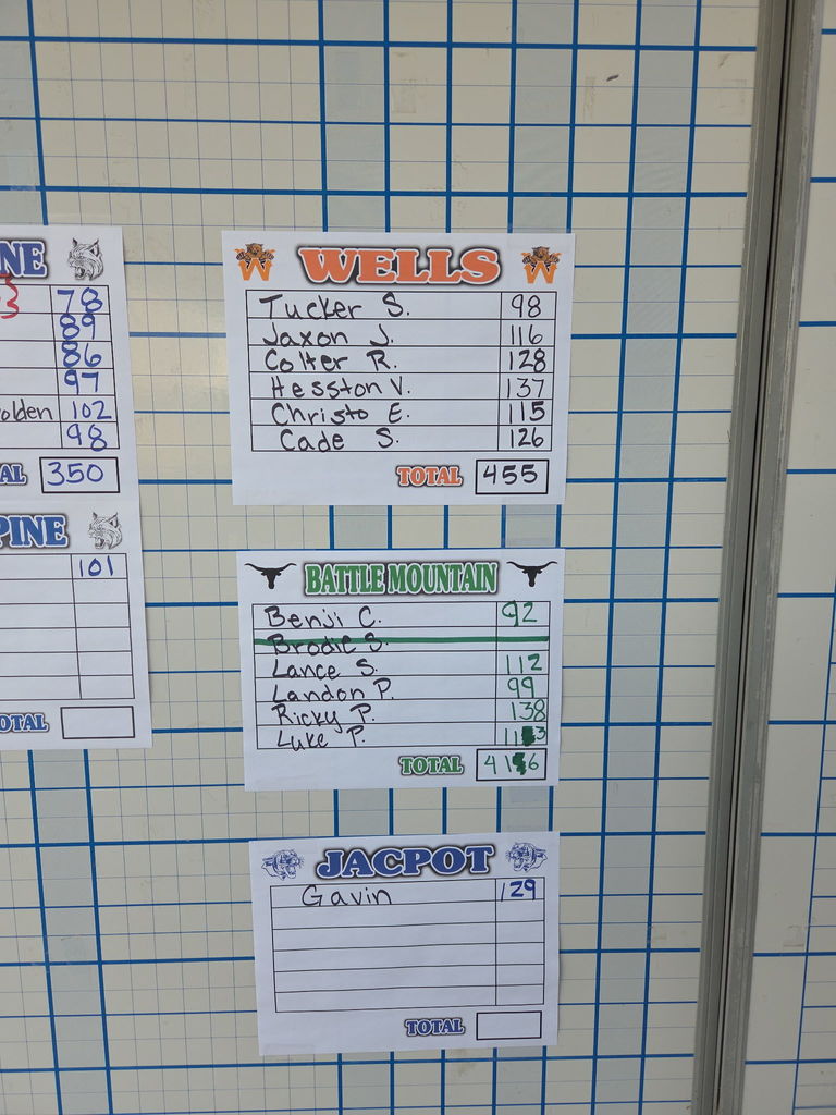 Wells High School golf scores