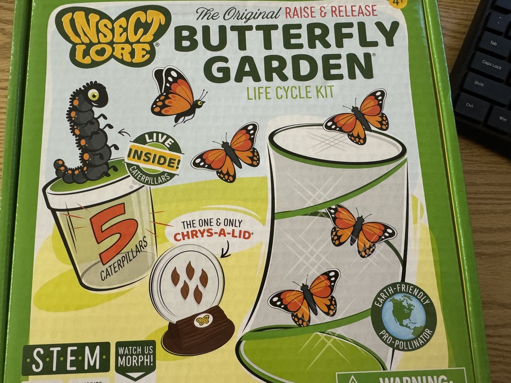 butterlies in the ELL classroom