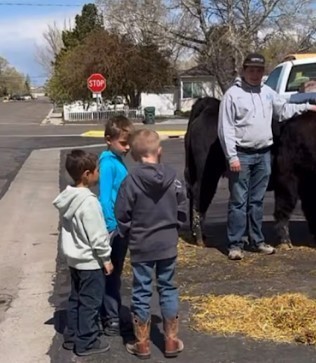 ag in the classroom