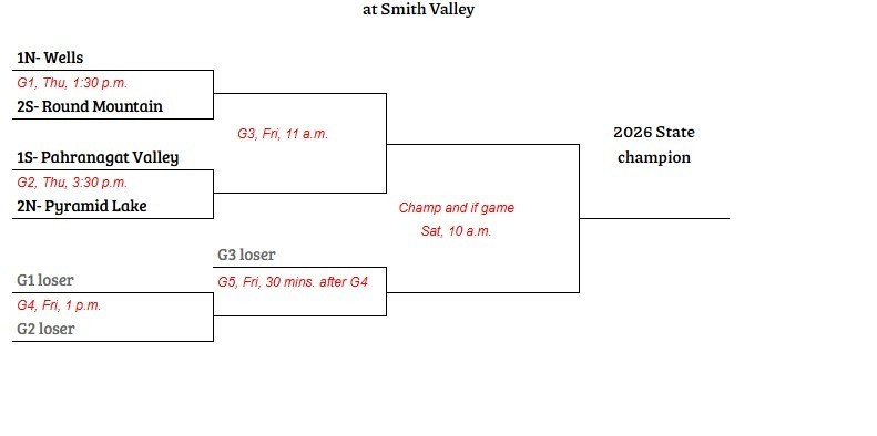 softball state bracket
