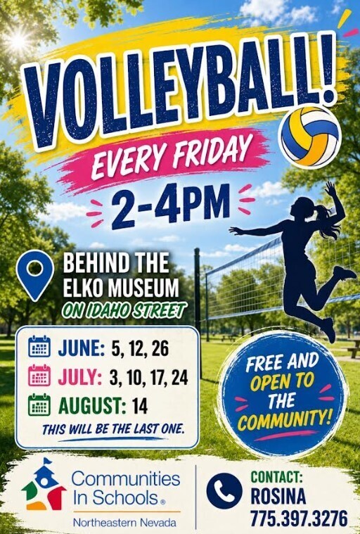 summer volleyball community event