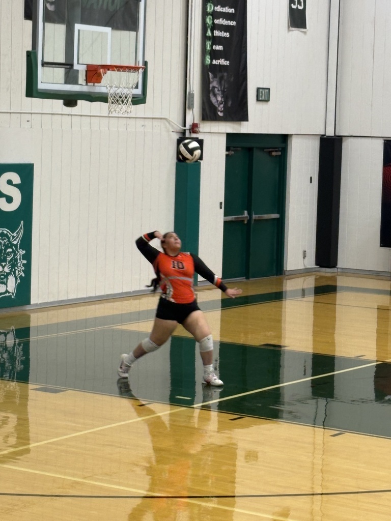 Wells girls volleyball team members