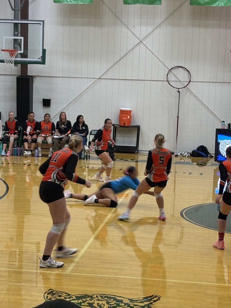 Wells girls volleyball team members