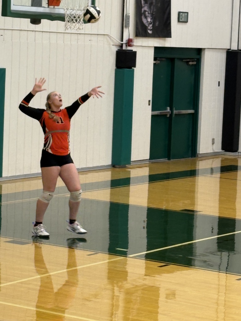 Wells girls volleyball team members