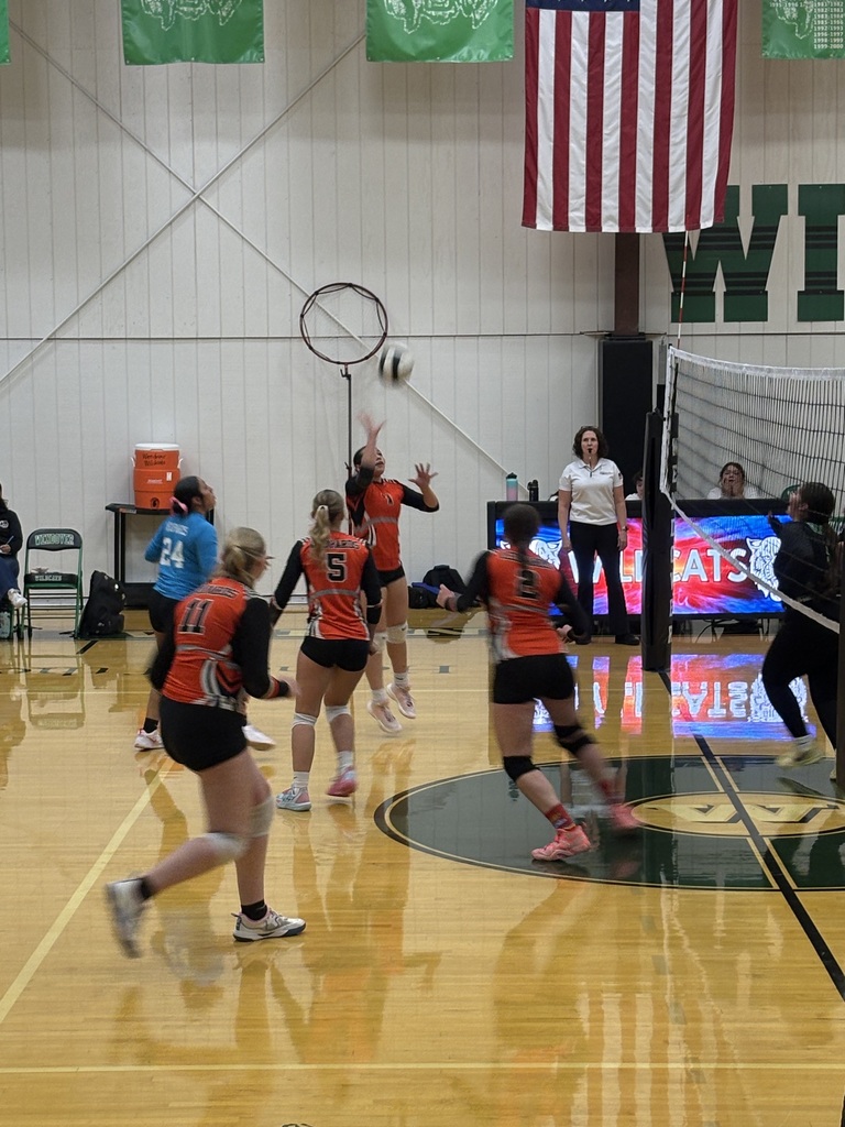 Wells girls volleyball team members