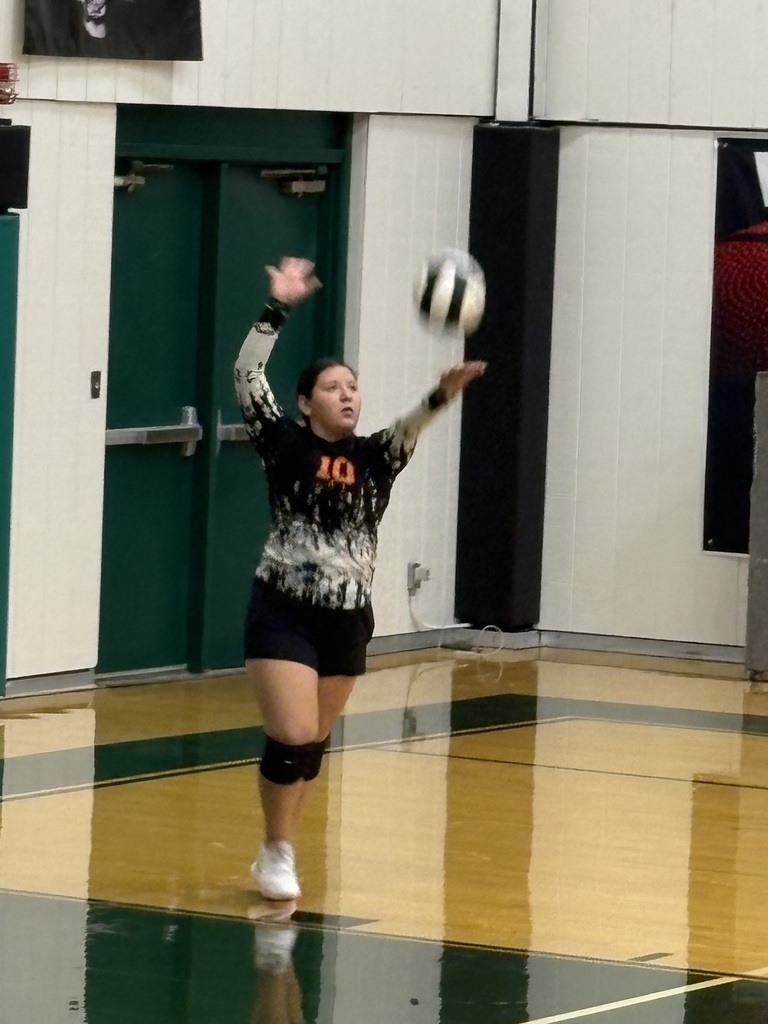 Wells girls volleyball team members
