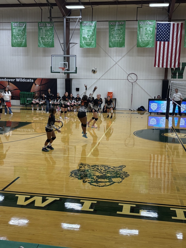 Wells girls volleyball team members
