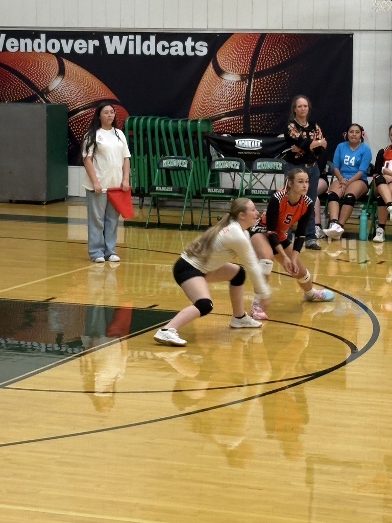 Wells girls volleyball team members