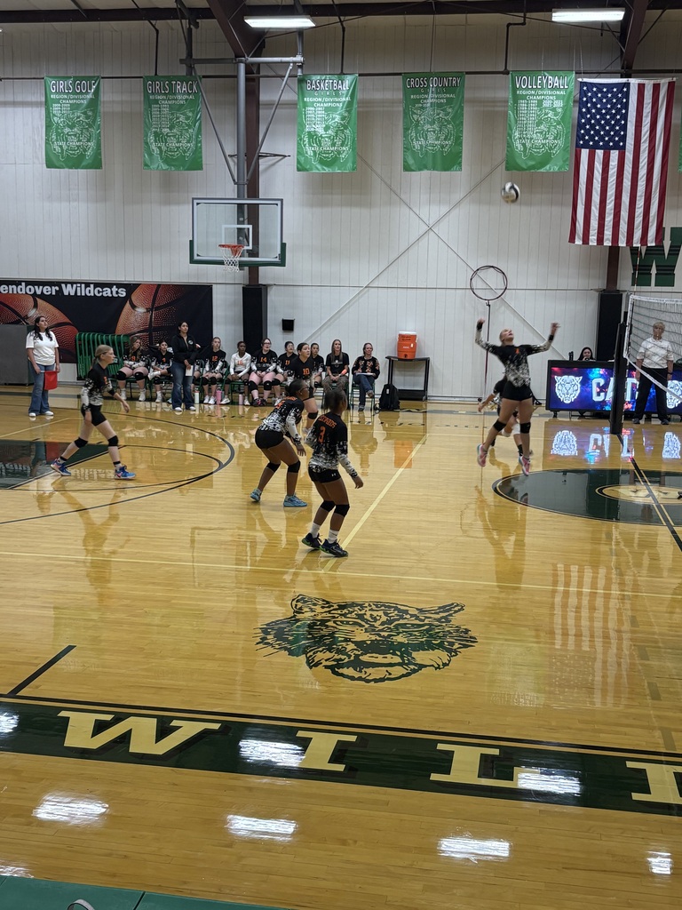 Wells girls volleyball team members