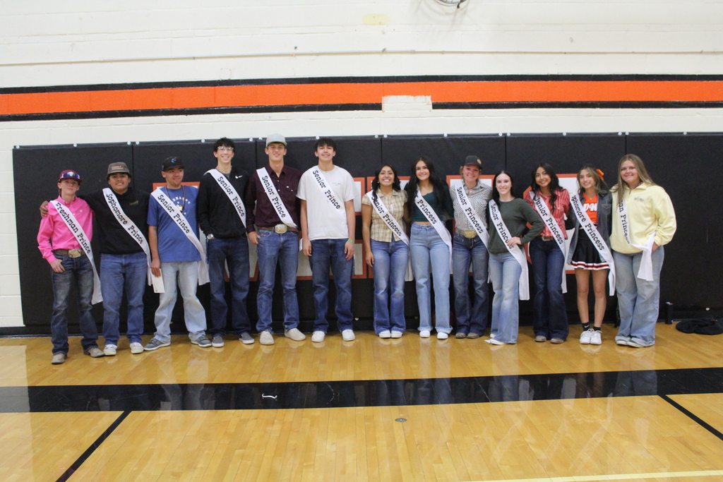 homecoming royalty freshman -seniors