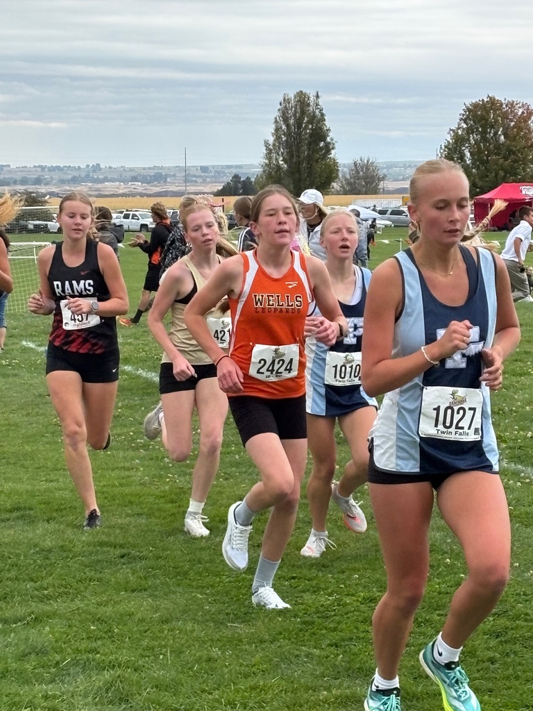 MN setting a new school cross country record