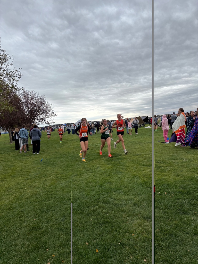 WHS cross country athletes