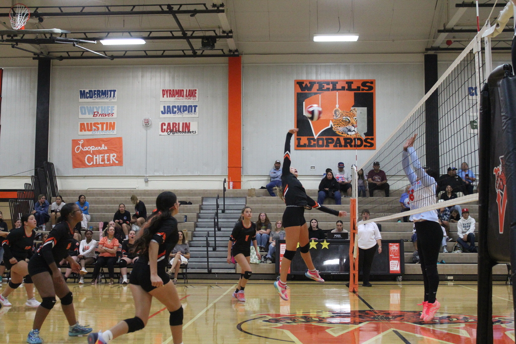 JV volleyball players at the homecoming game