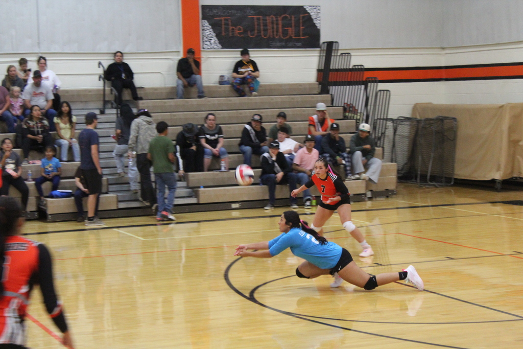 Wells High School volleyball team playing Owyhee