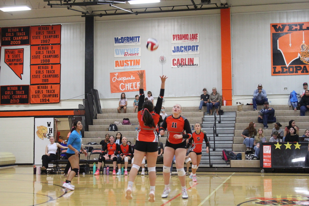 Wells High School volleyball team playing Owyhee