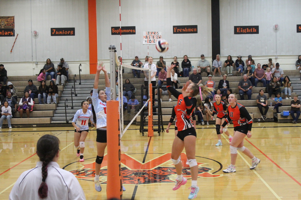 Wells High School volleyball team playing Owyhee