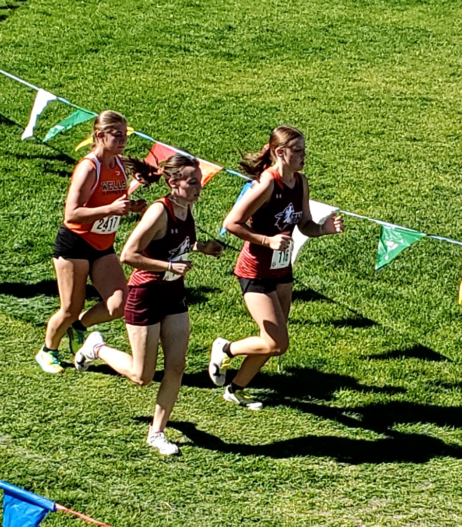 WHS cross country runners at the Bob Conley Invitational