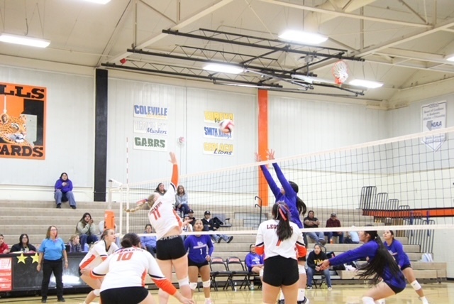 WHS volleyball vs McDermitt