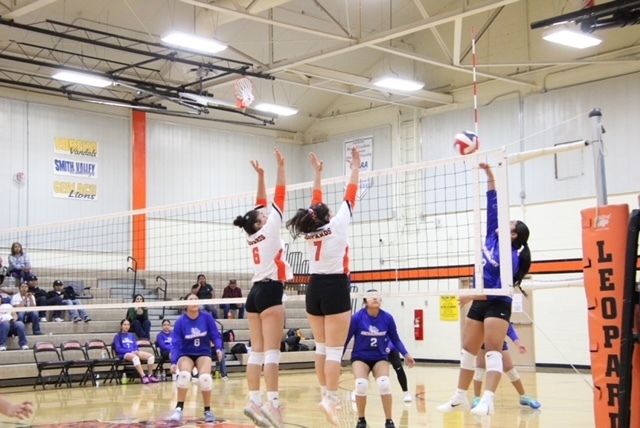 WHS volleyball vs McDermitt