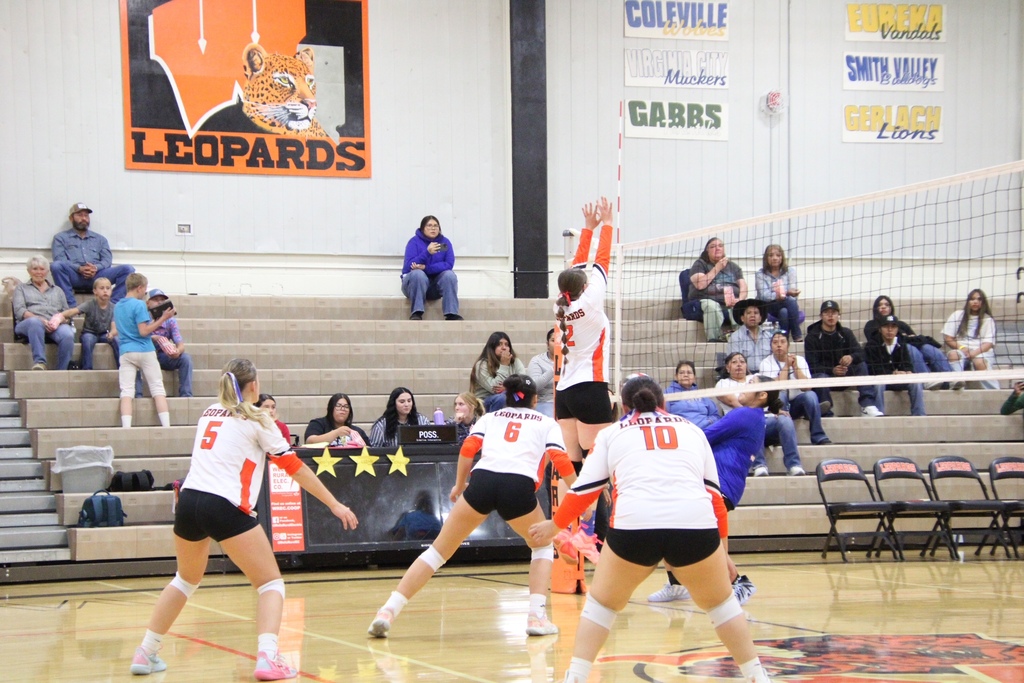 WHS volleyball vs McDermitt