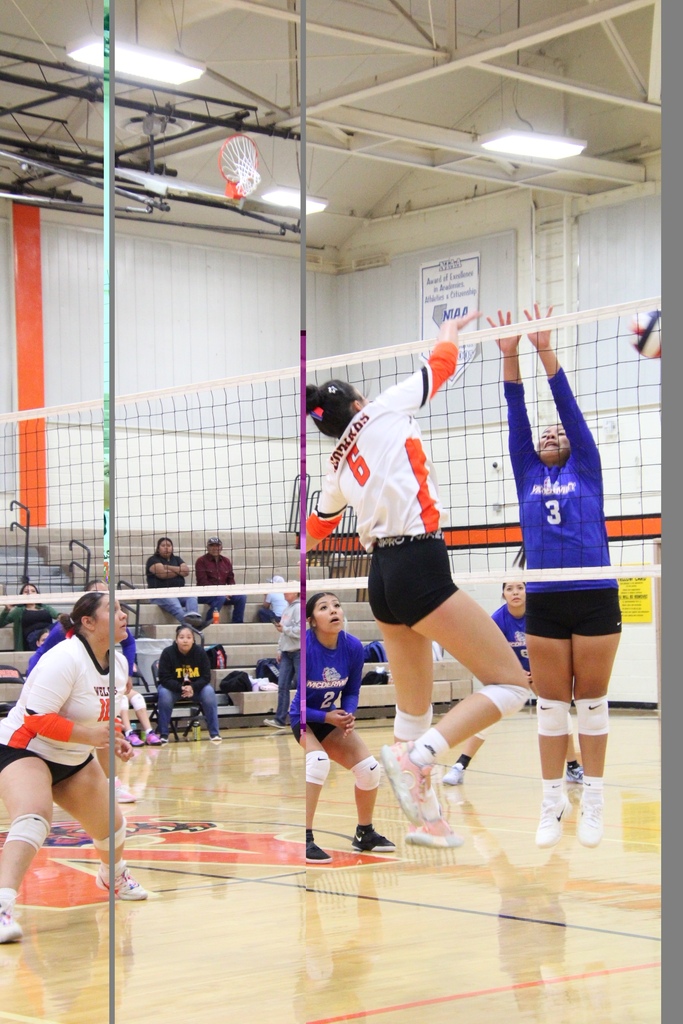 WHS volleyball vs McDermitt