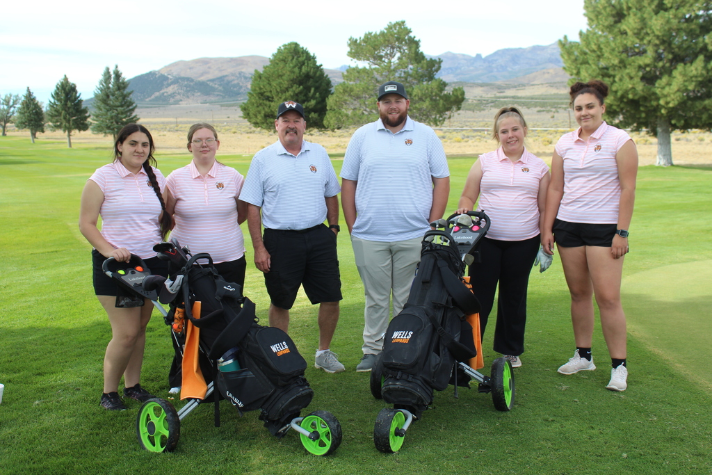 Wells High School golf team 2026