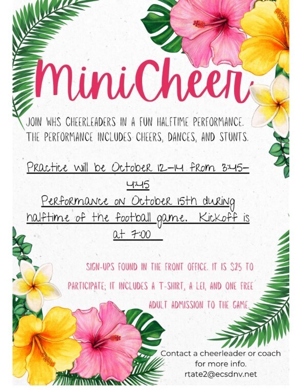 mini cheer information