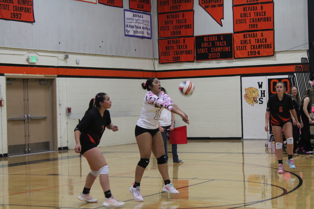 Wells volleyball players vs Carlin