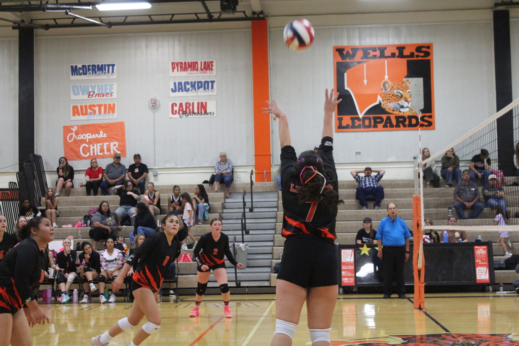 Wells volleyball players vs Carlin