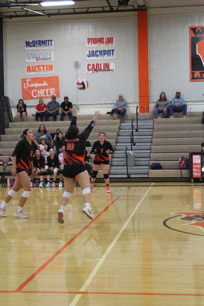 Wells volleyball players vs Carlin