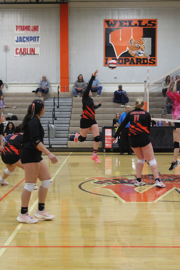 Wells volleyball players vs Carlin