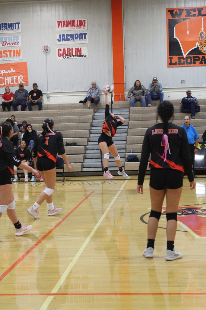 Wells volleyball players vs Carlin