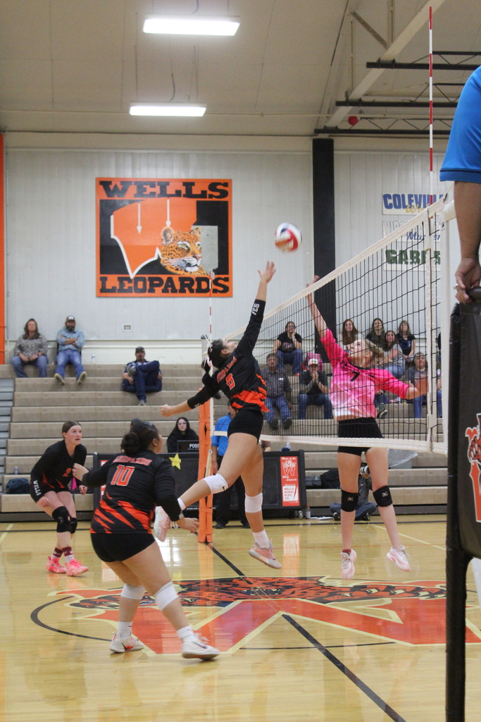 Wells volleyball players vs Carlin