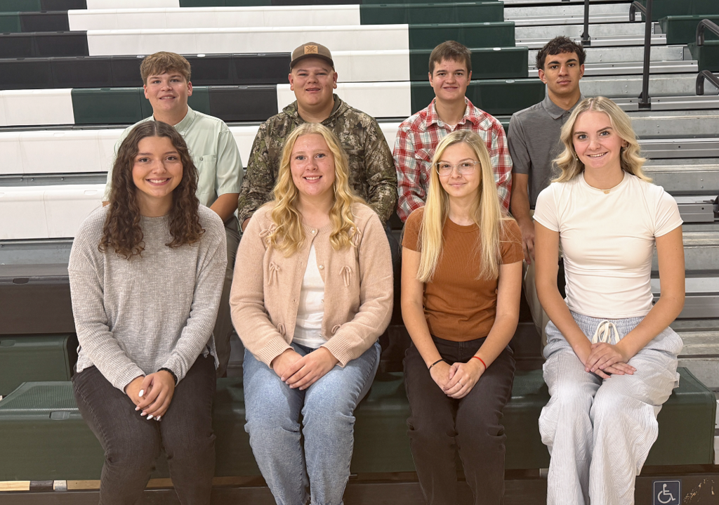 homecoming senior court