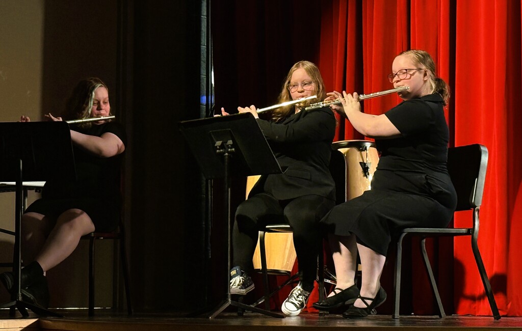 Fine Arts Night