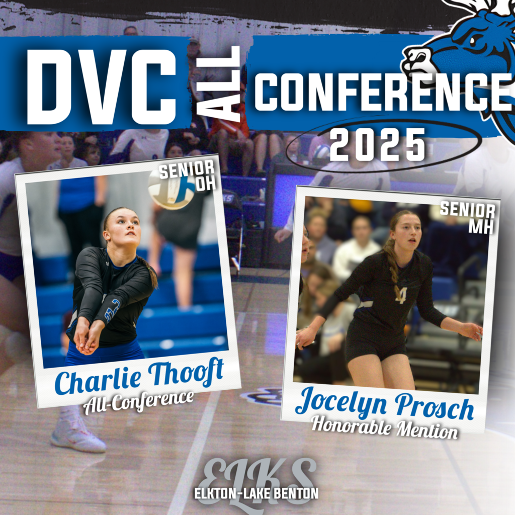 VB All Conference