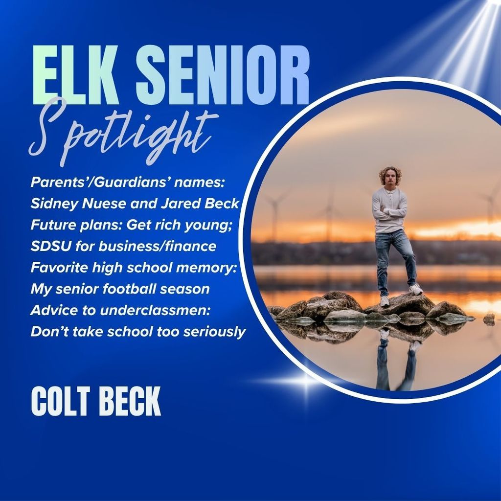 Colt spotlight