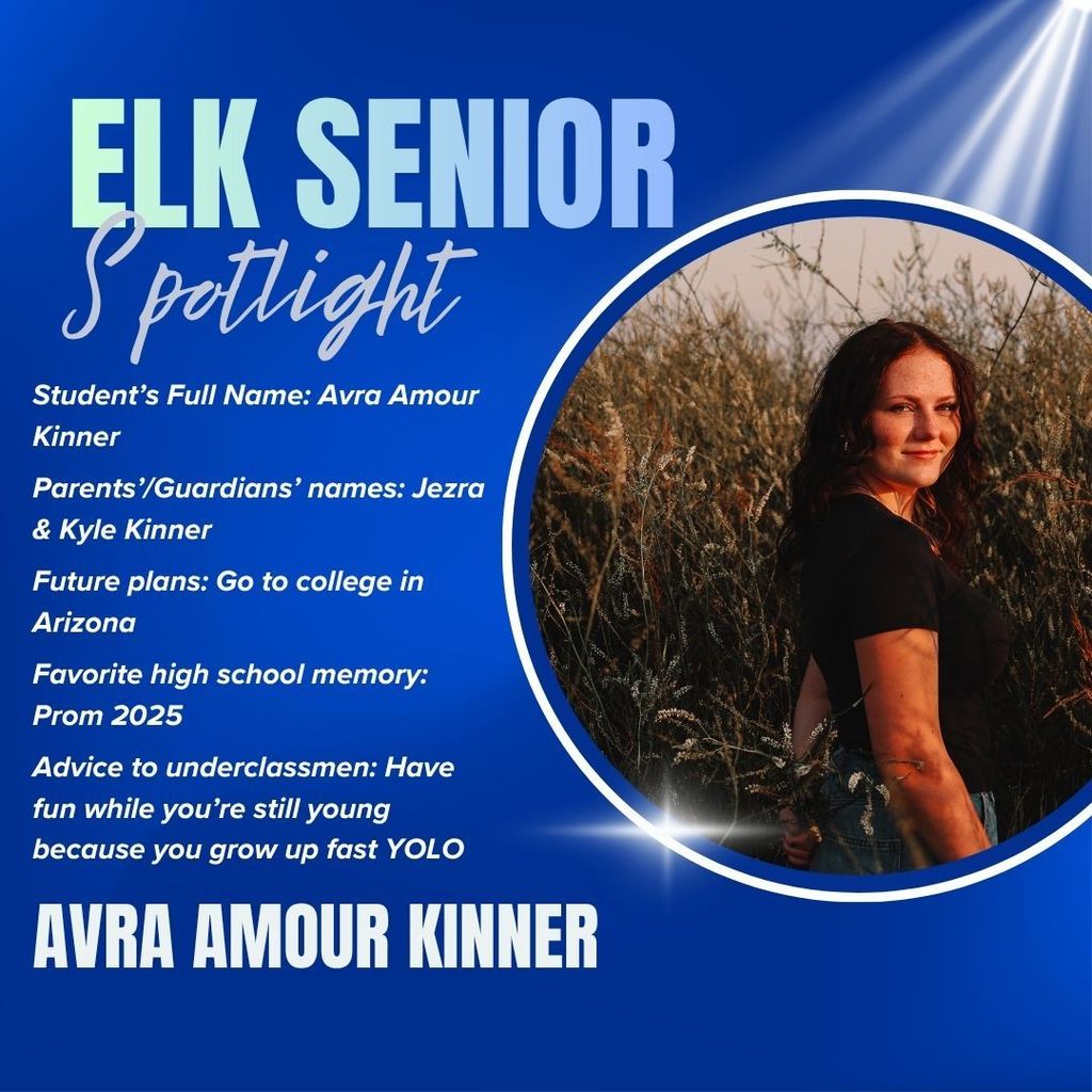 Avra spotlight