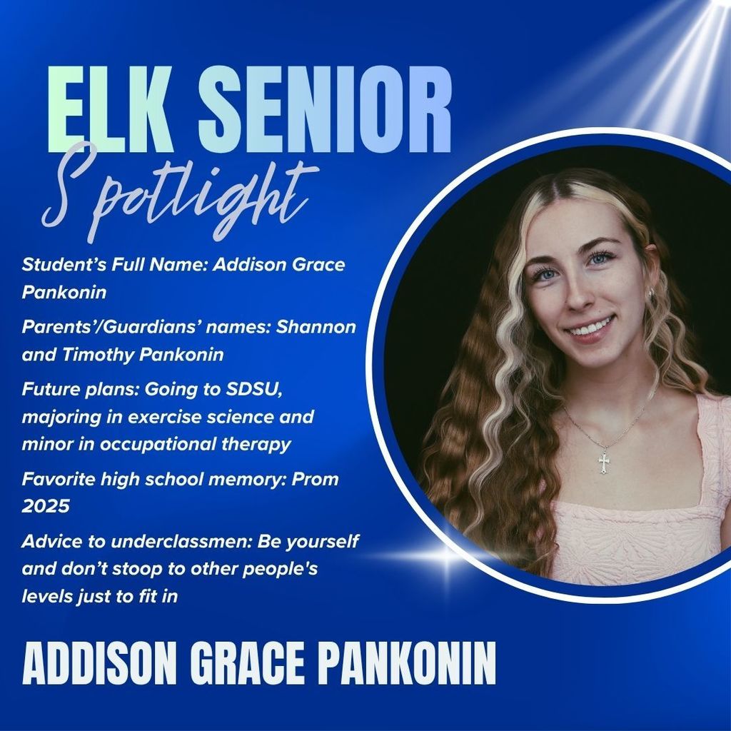 Addi spotlight