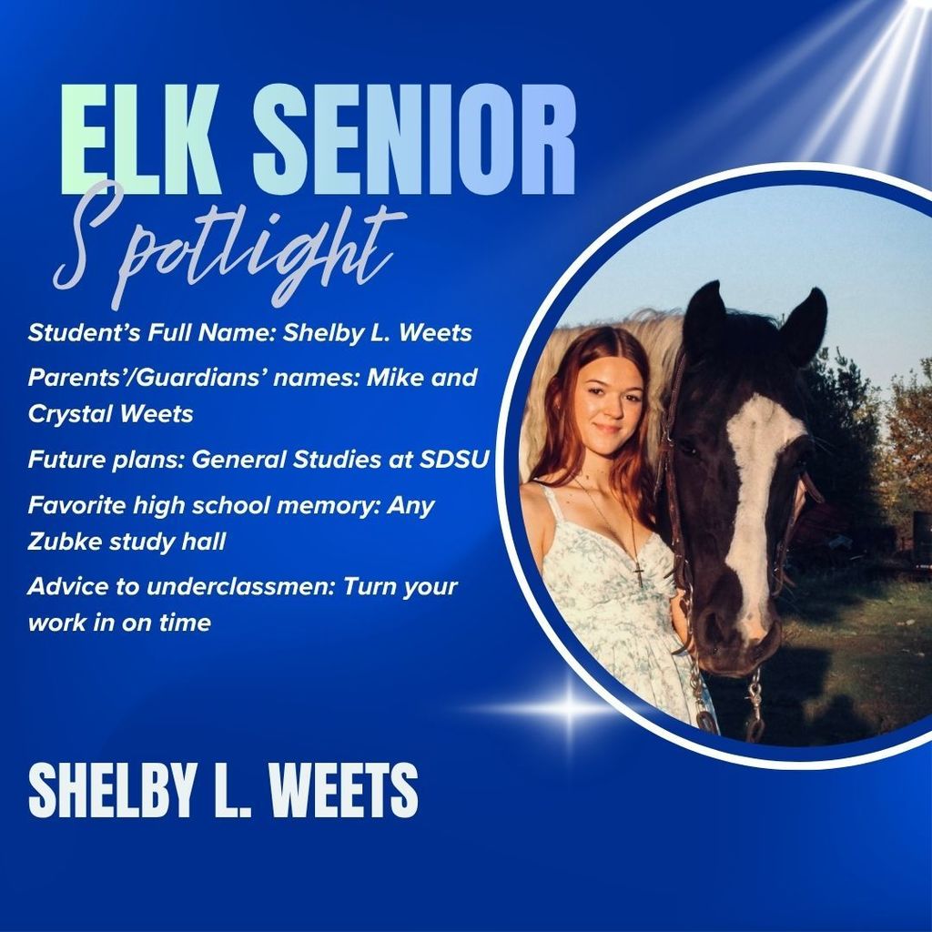 Shelby spotlight
