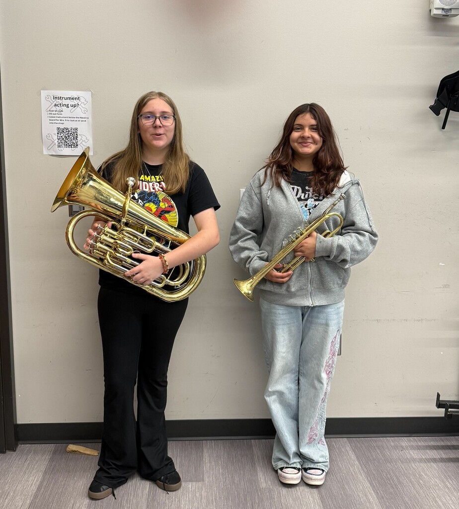 Honor Band 2