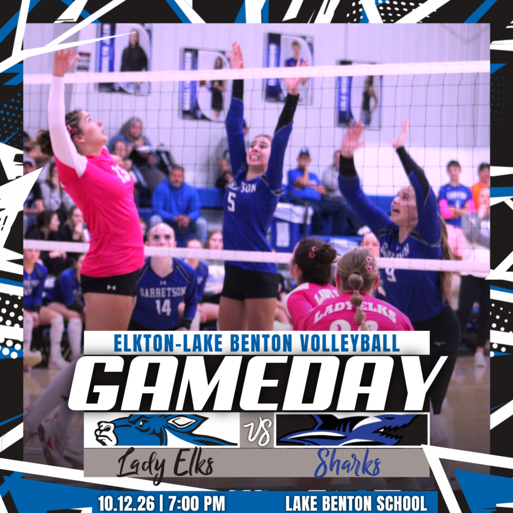 VB v ILP