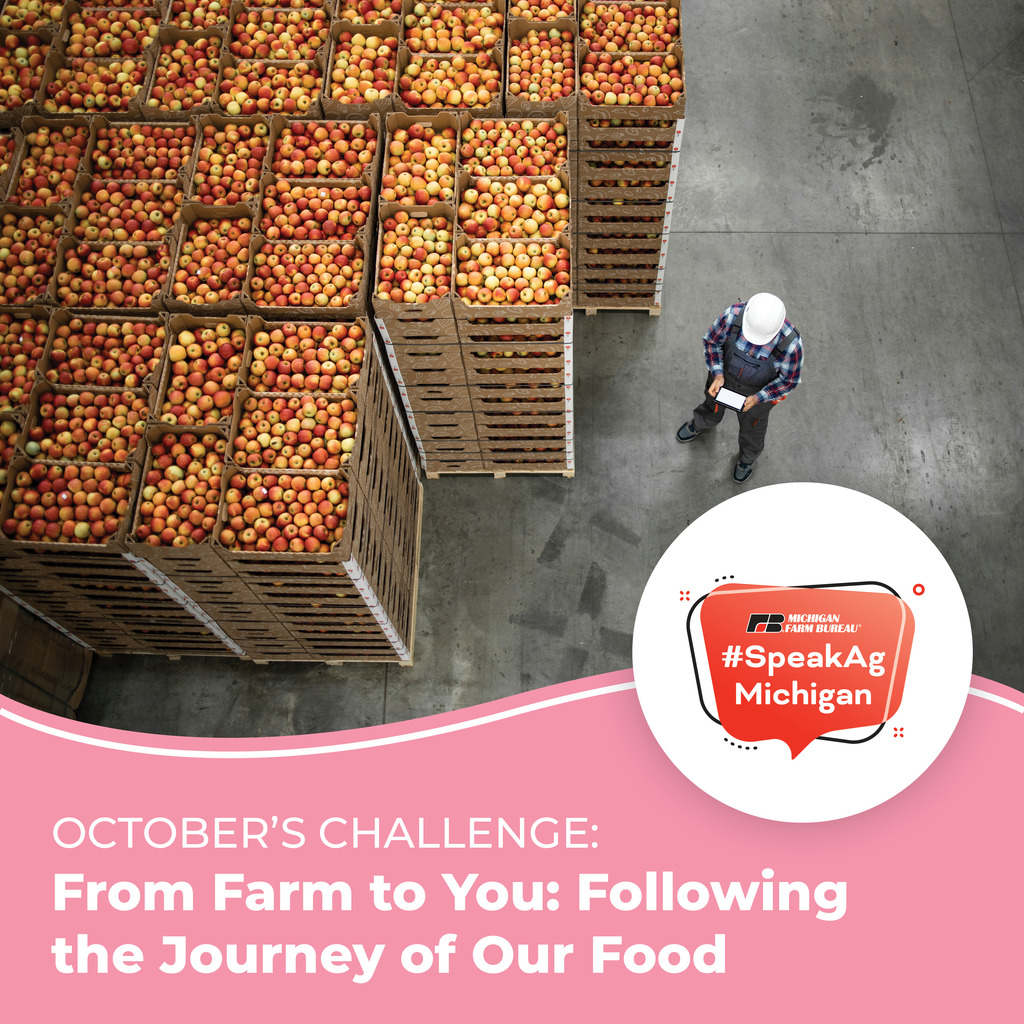 October Challenge: From Farm to You: Following the Journey of Our Food