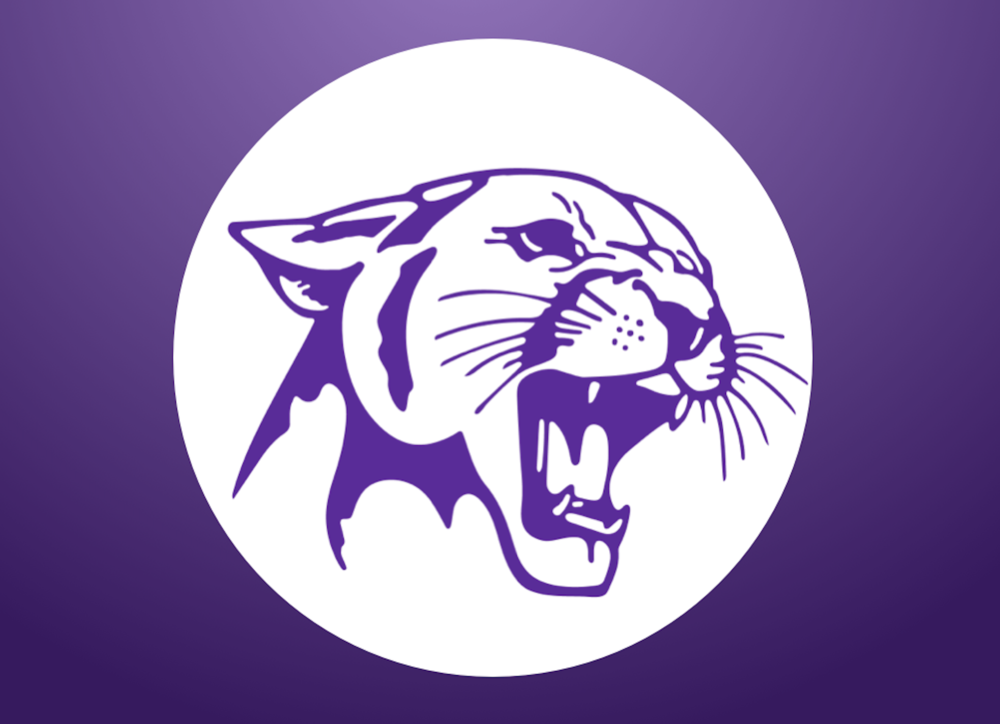 panther head