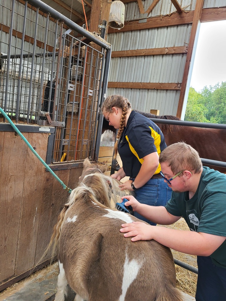 On September 22nd, 2025 EHS held their annual Day of Service. All 9th, 10th and 12th graders reported to 34 sites in the community and surrounding areas. Some of the sites included Camp Pepin, Pierce County Fairgrounds, Habitat for Humanity, Elsie’s Barnyard, and highway clean up. A number of students also worked with community members on service learning capstone projects and helped with garbage clean up. Some painted benches at Summit Park while others worked on the ballfields at Brown Field in Hager City. We are so grateful to all of our community partners for their help with projects and encouraging our students in making connections and learning new skills!